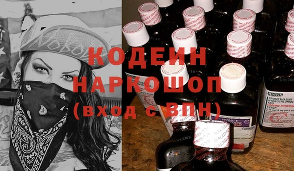 дмт Краснослободск