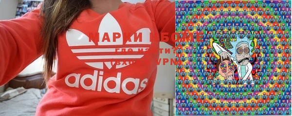 стаф Ладушкин