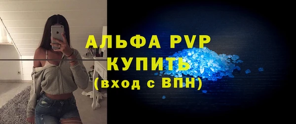 стаф Ладушкин