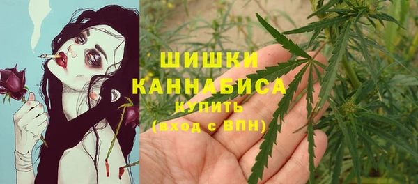 стаф Ладушкин