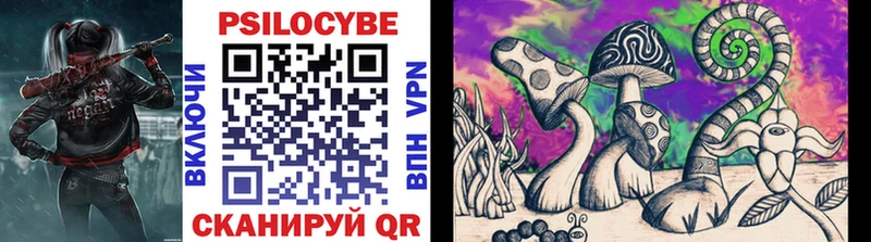 Галлюциногенные грибы Psilocybine cubensis  mega зеркало  Курлово 